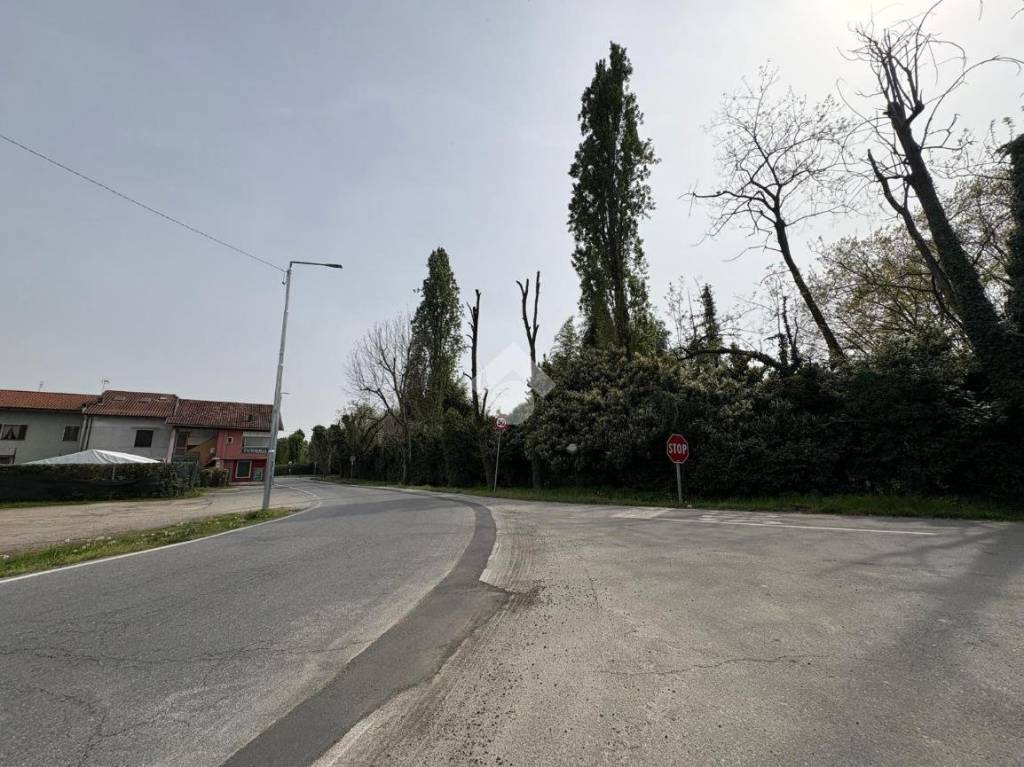 immagine annuncio 11 di 14