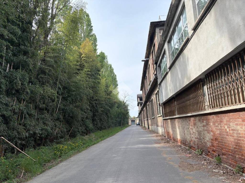 immagine annuncio 12 di 14