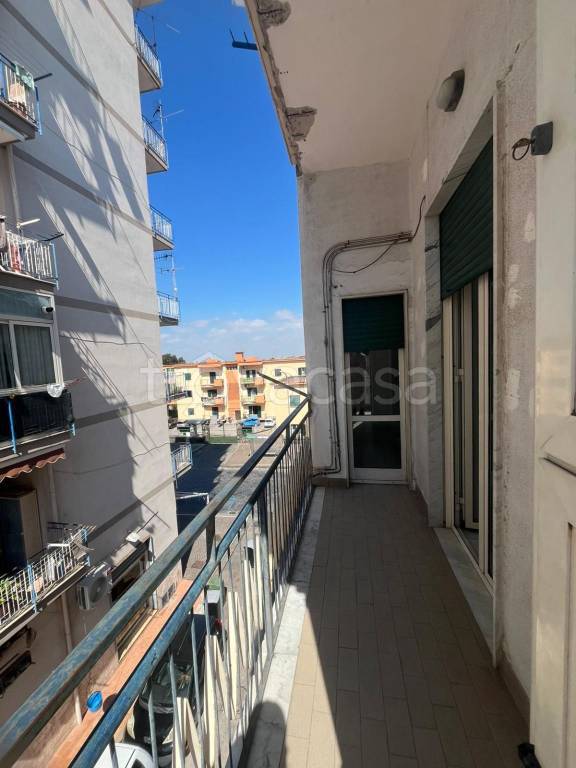 immagine annuncio 4 di 14