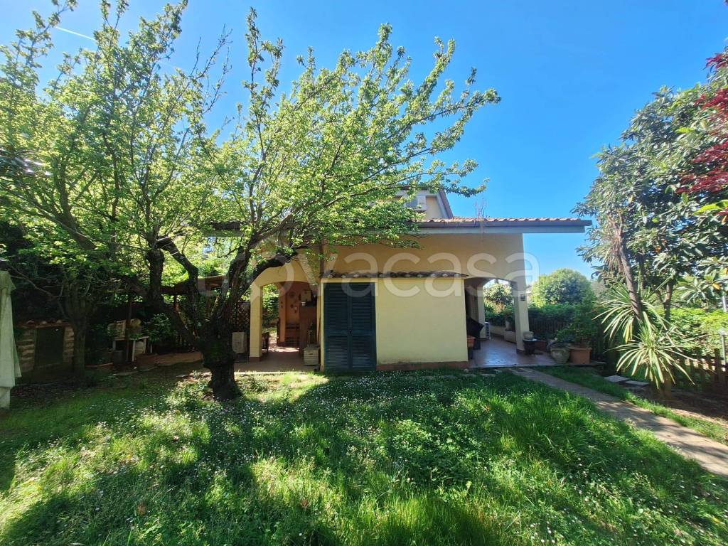 immagine annuncio 12 di 15