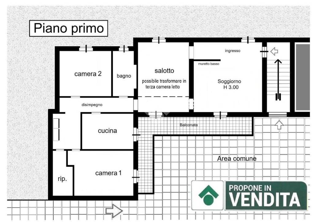 immagine annuncio 11 di 15