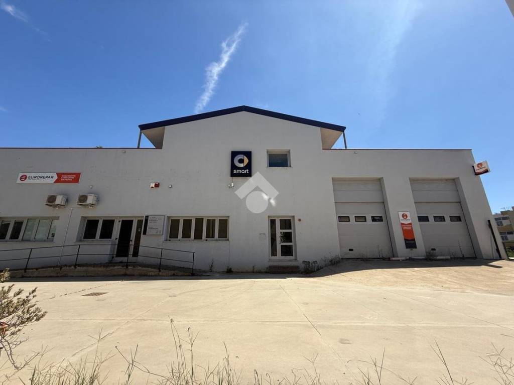 immagine annuncio 1 di 12