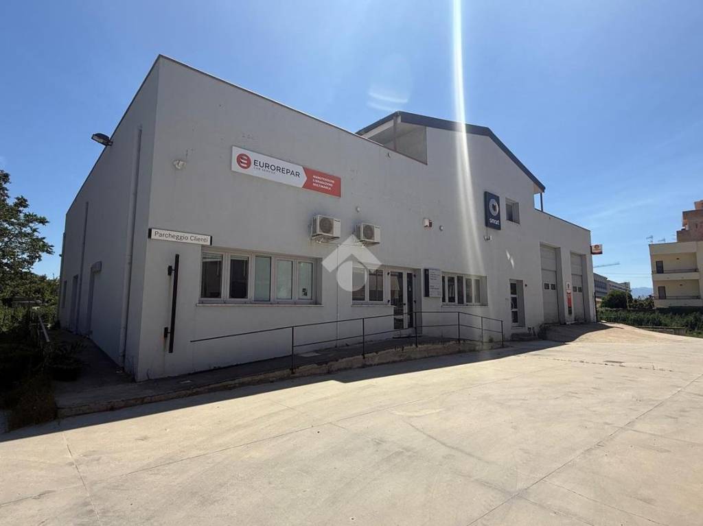 immagine annuncio 3 di 12