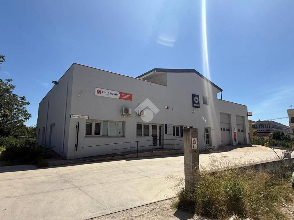 immagine annuncio 5 di 12