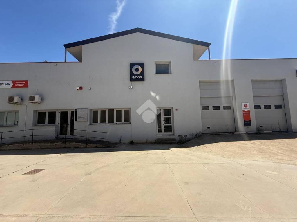 immagine annuncio 10 di 12