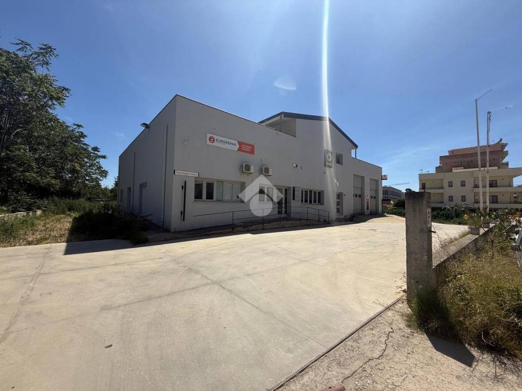 immagine annuncio 11 di 12