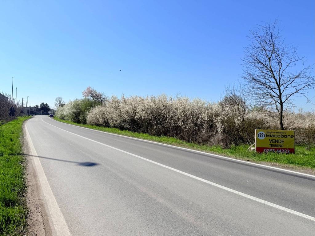 immagine annuncio 10 di 15