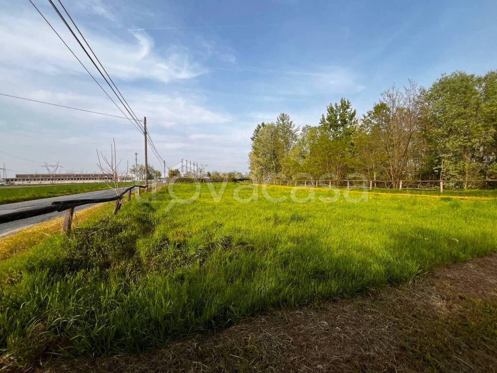 immagine annuncio 10 di 15