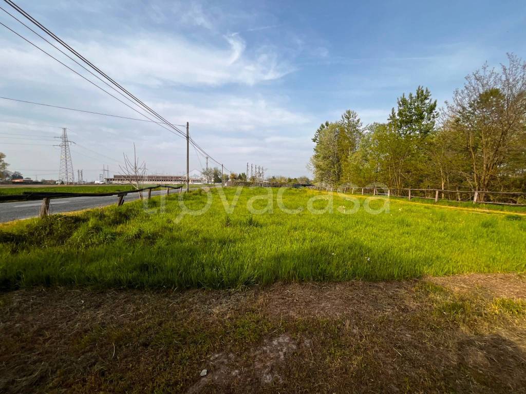 immagine annuncio 12 di 15