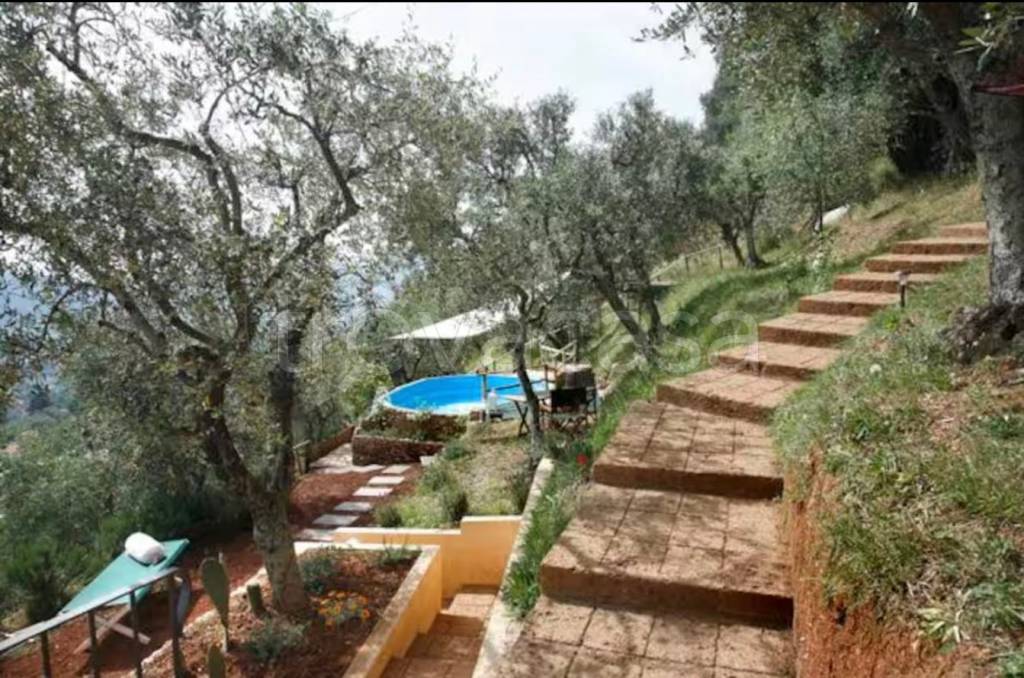 immagine annuncio 4 di 11