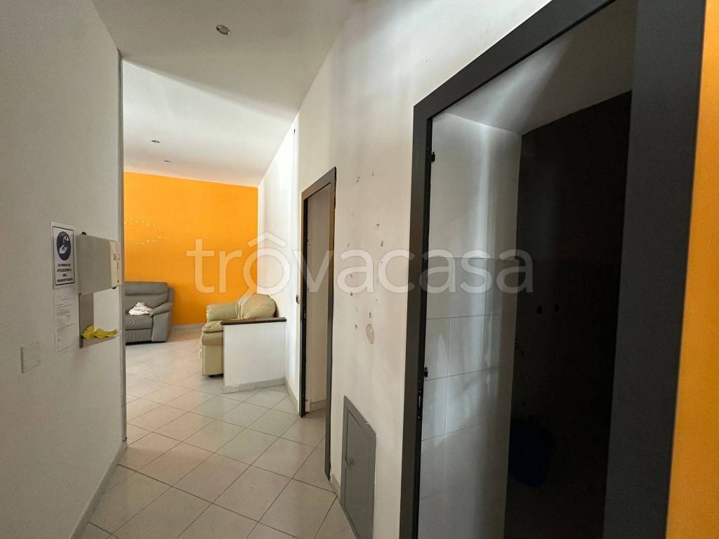 immagine annuncio 4 di 8