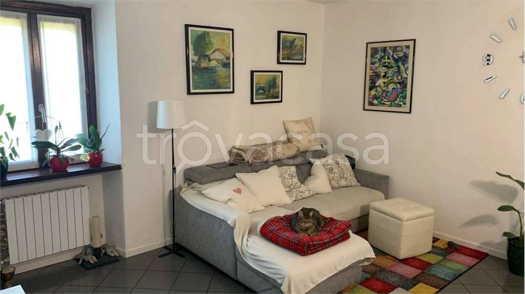 immagine annuncio 3 di 12