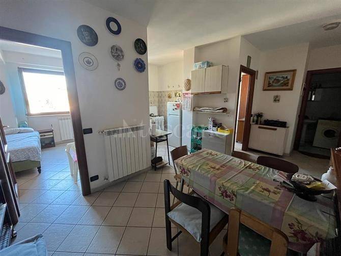 immagine annuncio 4 di 7