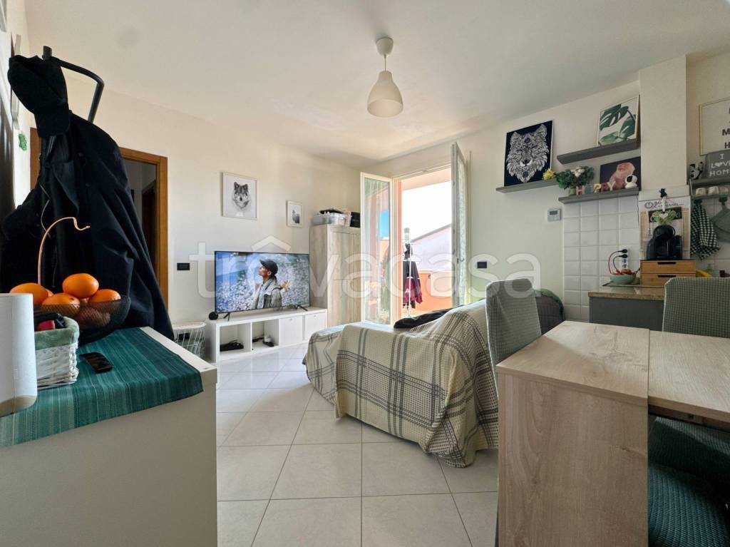 immagine annuncio 1 di 15