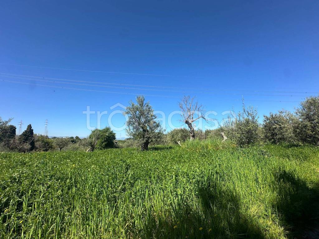 immagine annuncio 2 di 3