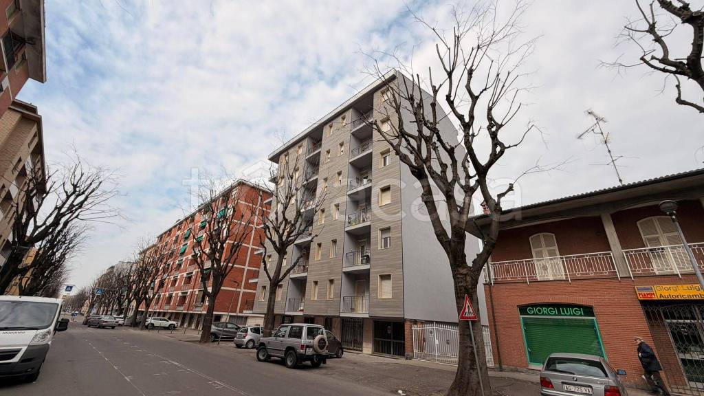 immagine annuncio 1 di 15