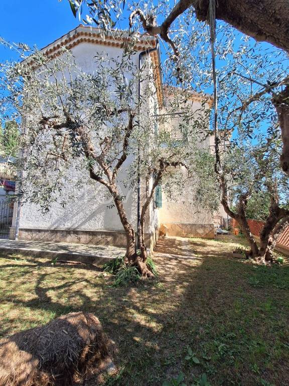 immagine annuncio 7 di 12