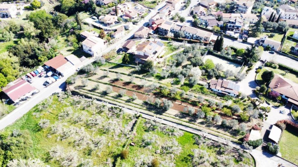 immagine annuncio 3 di 11