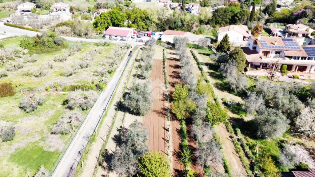 immagine annuncio 4 di 11