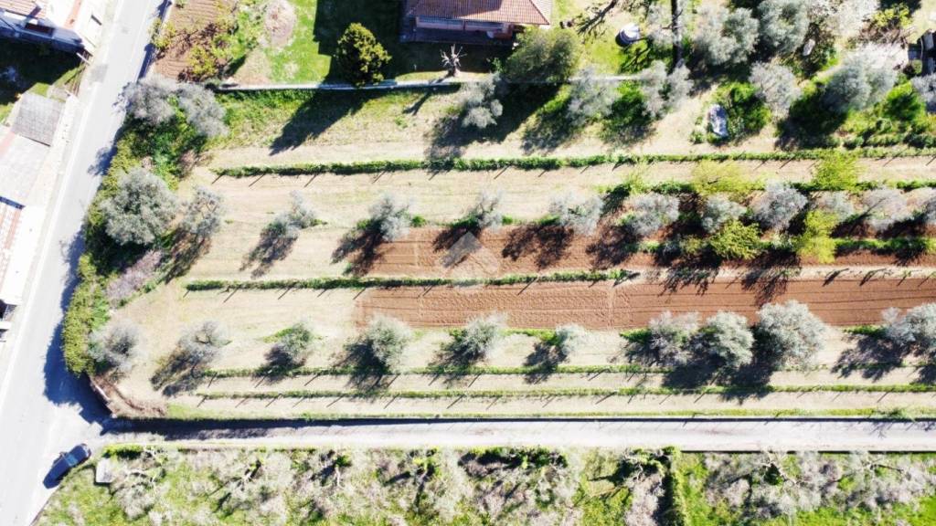 immagine annuncio 5 di 11