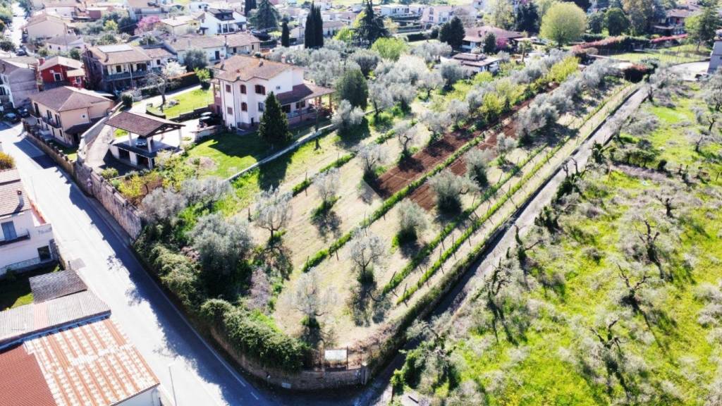 immagine annuncio 6 di 11