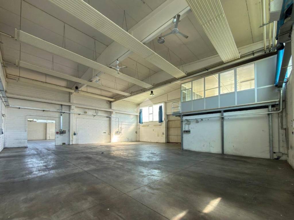 immagine annuncio 10 di 15