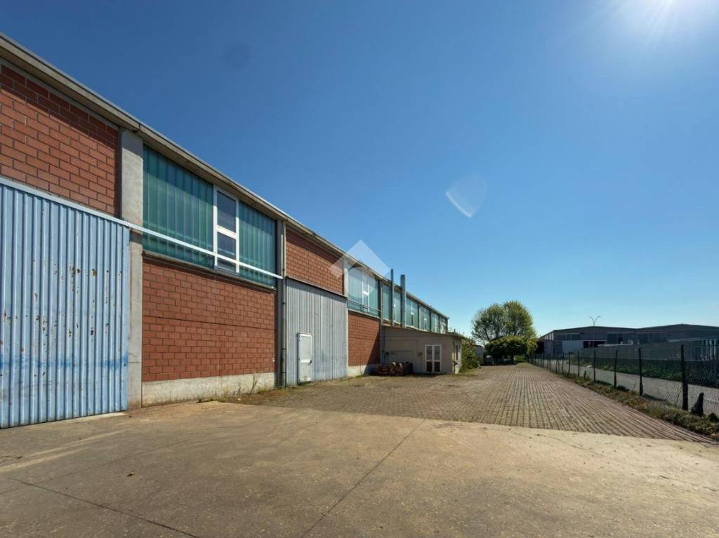 immagine annuncio 11 di 15