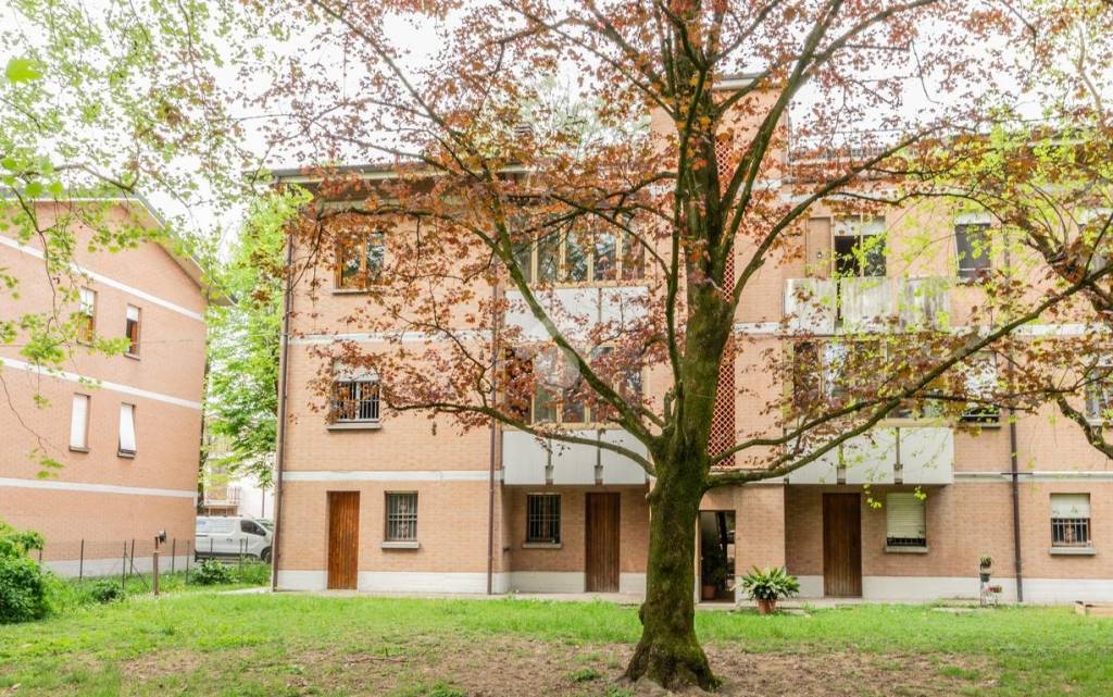 immagine annuncio 2 di 7