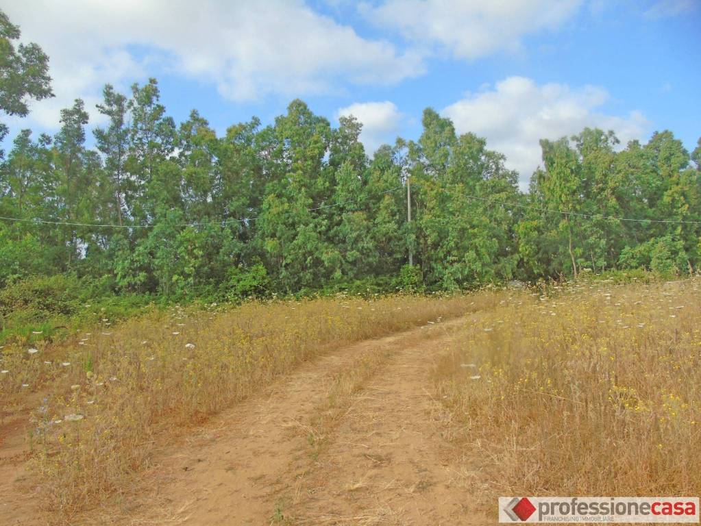 immagine annuncio 1 di 3