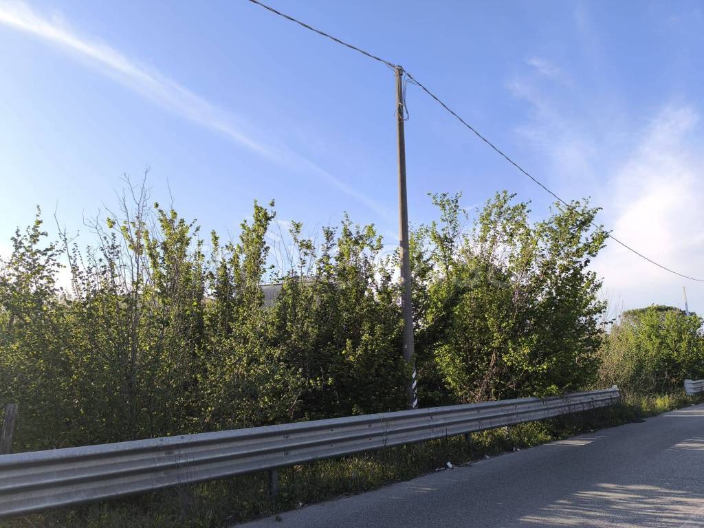 immagine annuncio 3 di 8