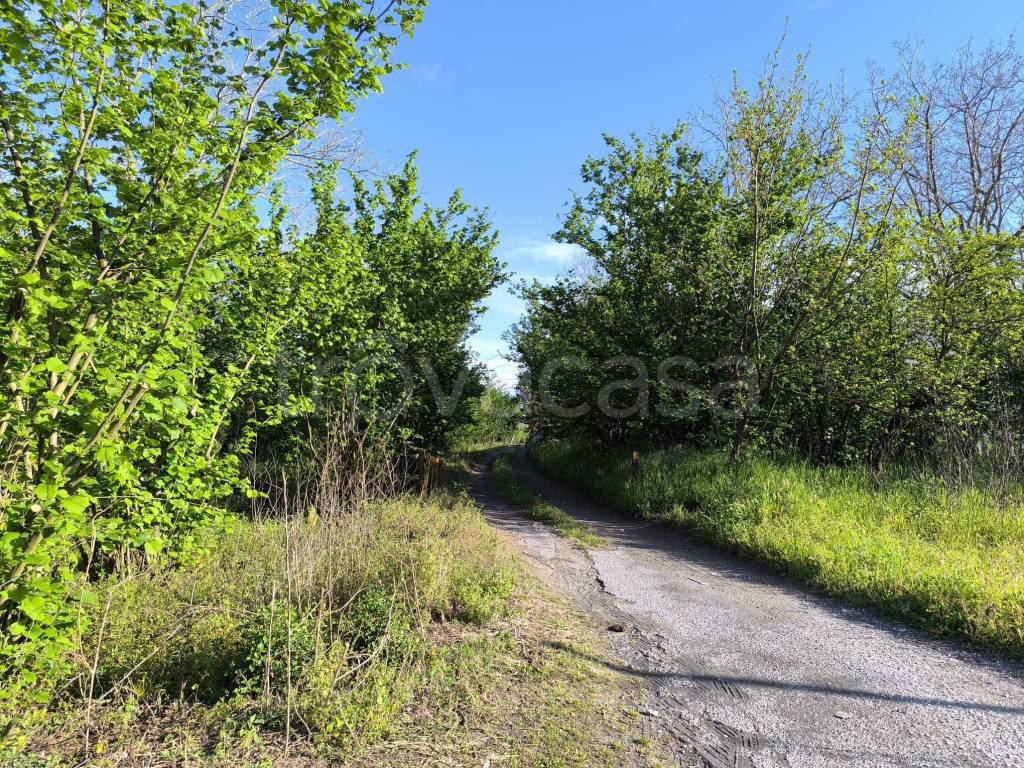 immagine annuncio 6 di 8