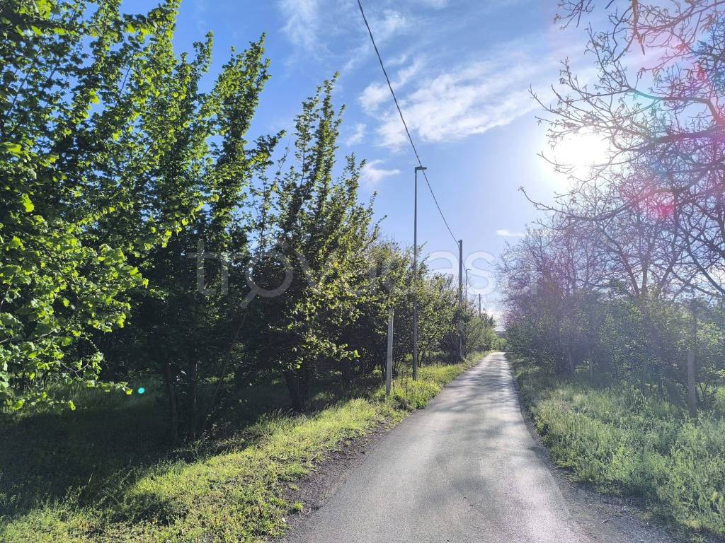 immagine annuncio 7 di 8