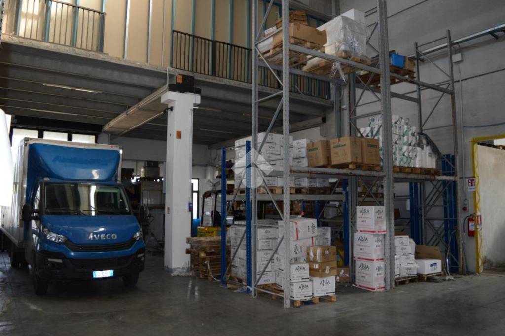 immagine annuncio 3 di 12