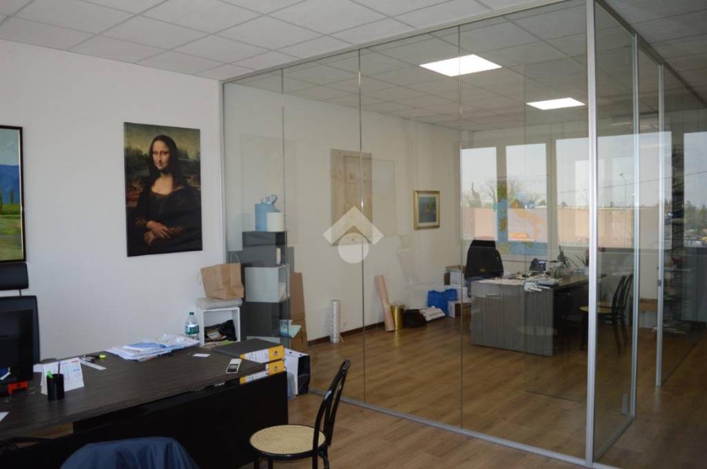 immagine annuncio 9 di 12