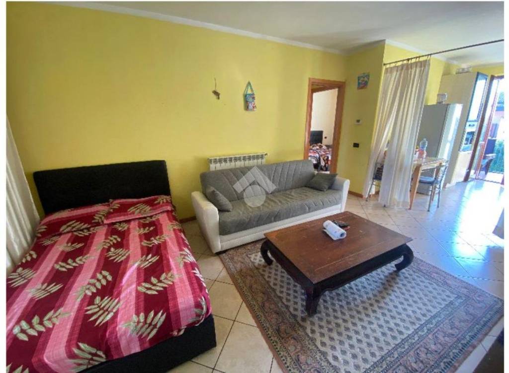 immagine annuncio 10 di 15