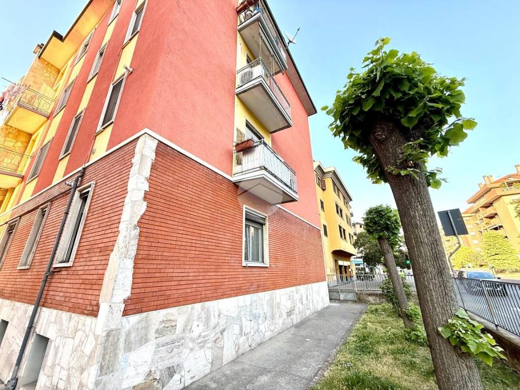 immagine annuncio 1 di 13