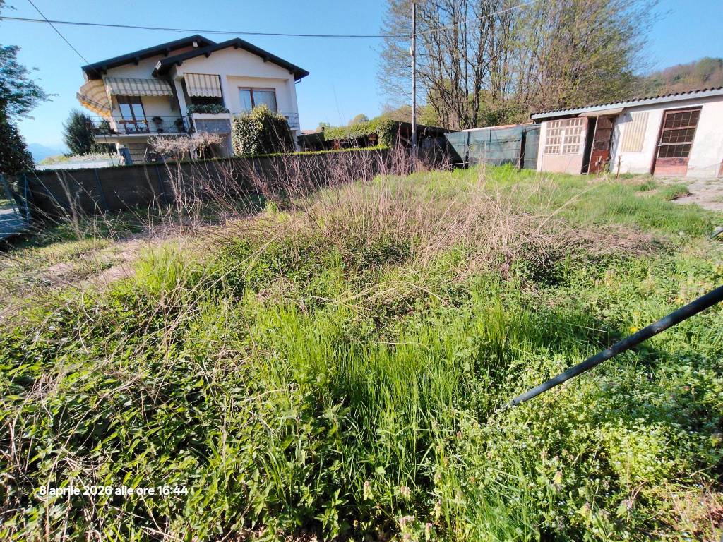 immagine annuncio 2 di 15