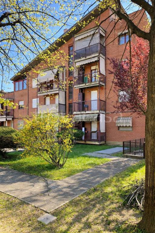 immagine annuncio 11 di 15