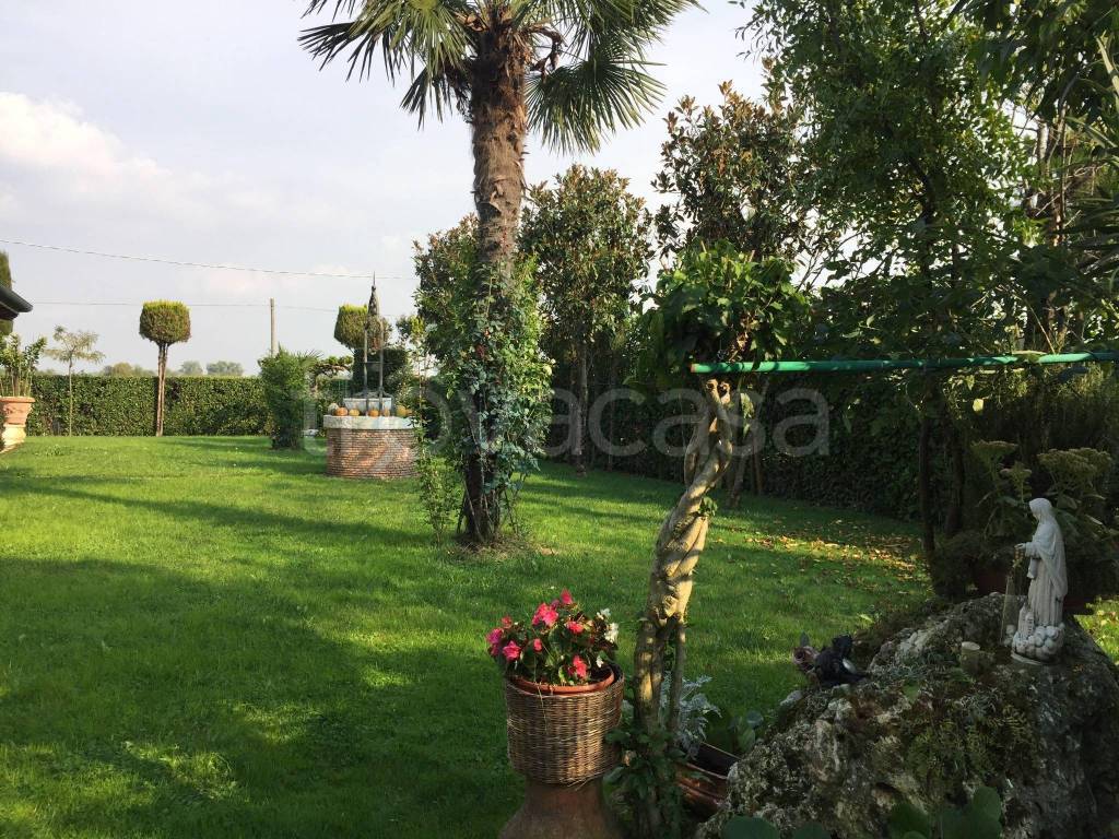 immagine annuncio 4 di 13