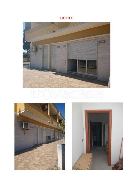 immagine annuncio 1 di 2