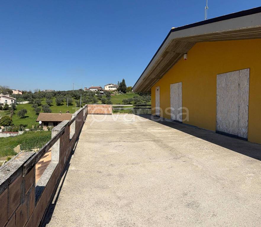 immagine annuncio 5 di 8