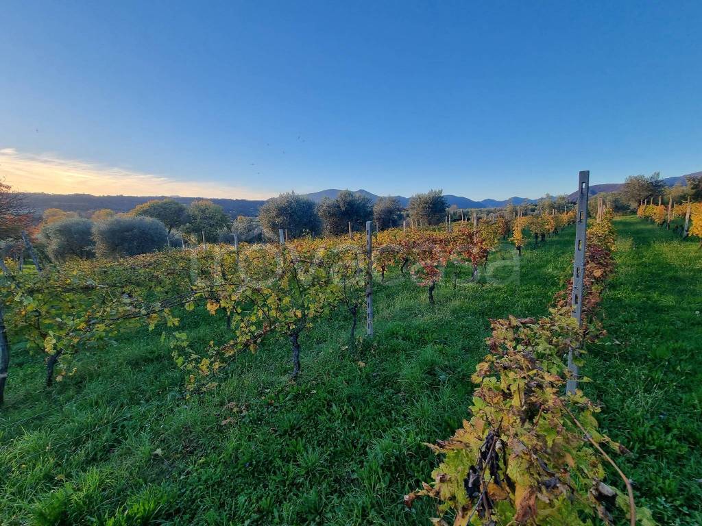 immagine annuncio 7 di 11