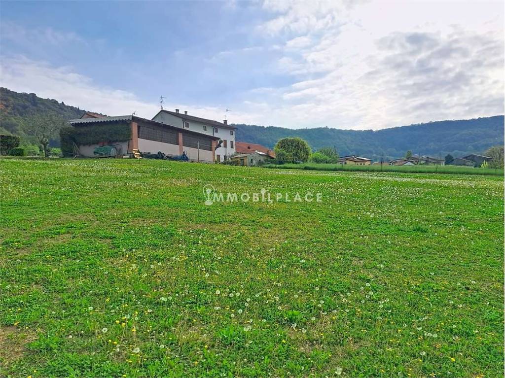 immagine annuncio 6 di 12