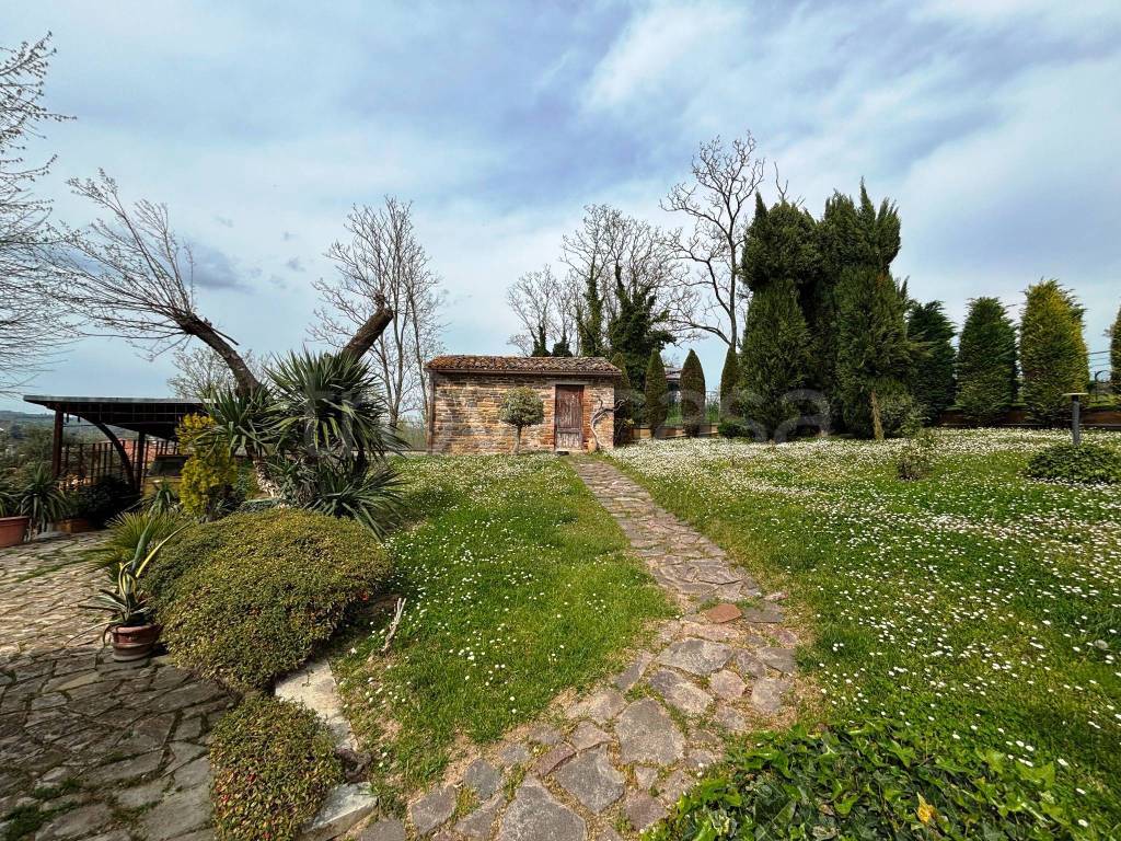 immagine annuncio 6 di 15