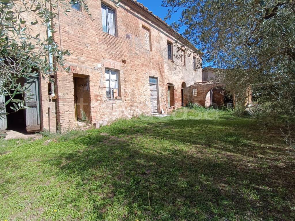 immagine annuncio 2 di 6