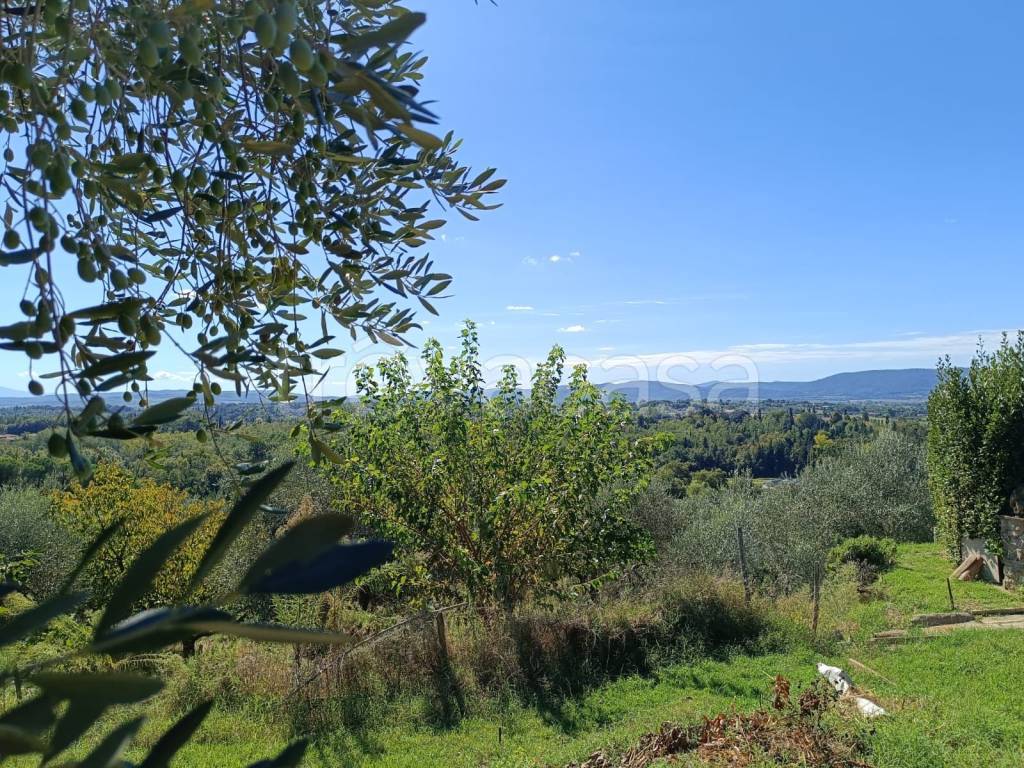 immagine annuncio 5 di 6