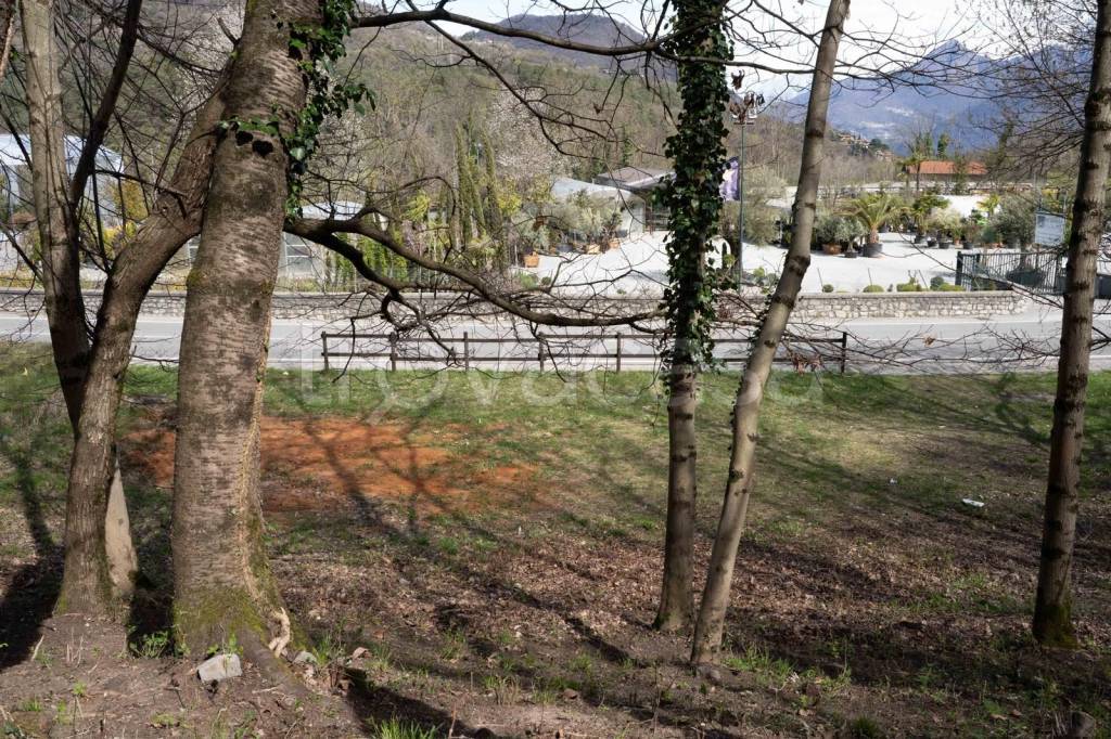 immagine annuncio 7 di 9