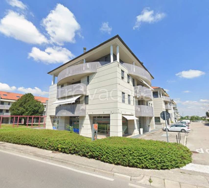 immagine annuncio 1 di 7