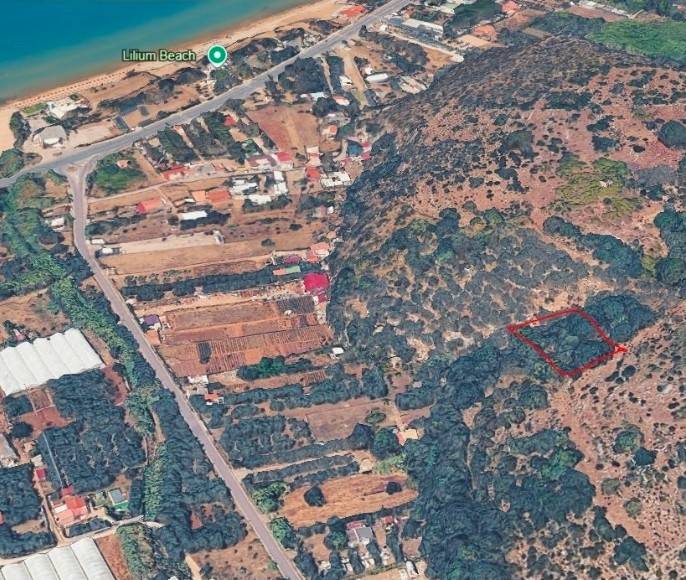 immagine annuncio 4 di 7