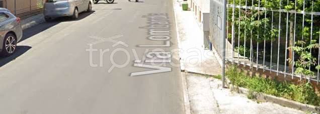 immagine annuncio 3 di 12